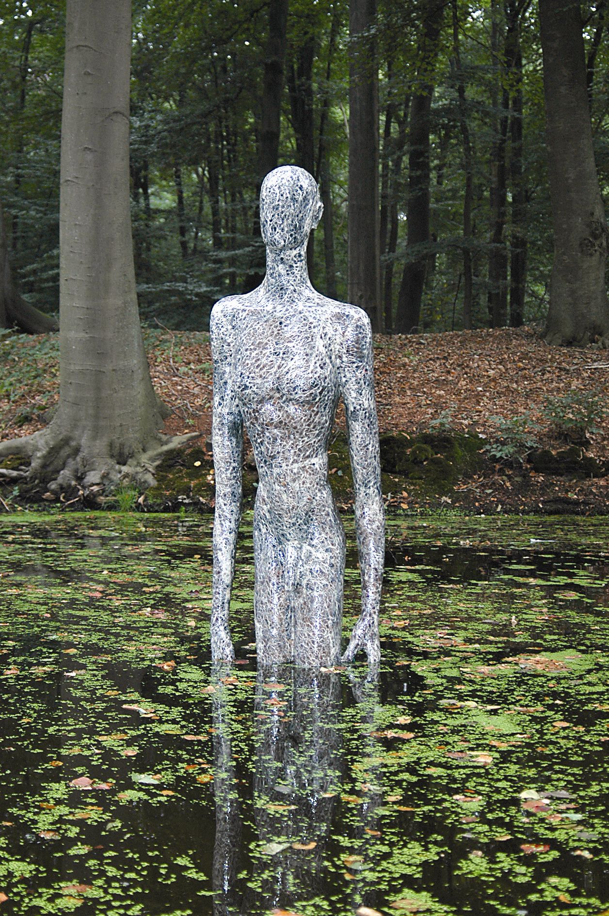 Narcissus